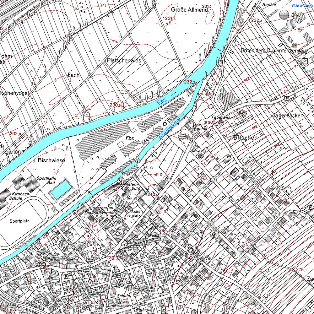Beispiel Darstellungsdienst Deutsche Grundkarte 1:5 000 (Baden)